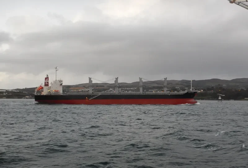 PACIFIC BULKER Bulk Carrier IMO 9674787 photo 9