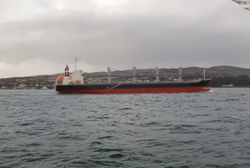 PACIFIC BULKER Bulk Carrier IMO 9674787 photo 10