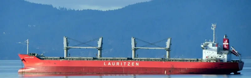ATLANTIC BULKER Bulk Carrier IMO 9674799
