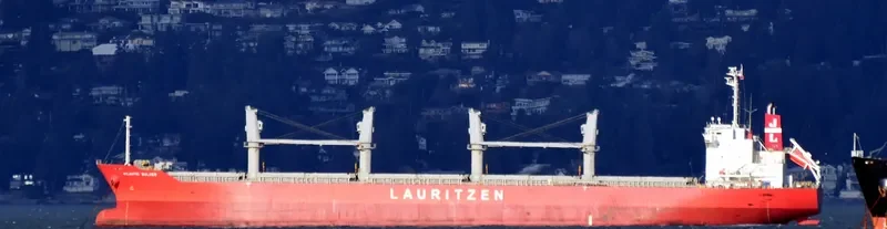ATLANTIC BULKER Bulk Carrier IMO 9674799 photo 2