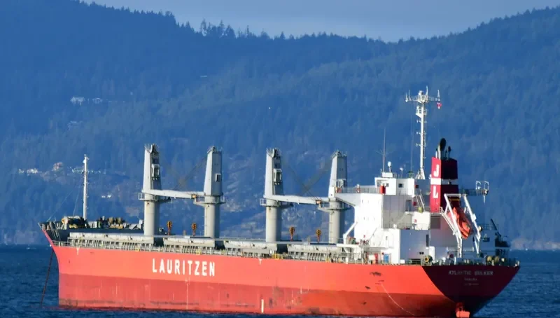 ATLANTIC BULKER Bulk Carrier IMO 9674799 photo 3
