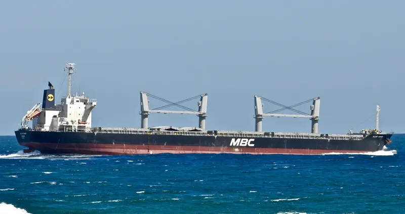 ALAM SINAR Bulk Carrier IMO 9674816 photo 2