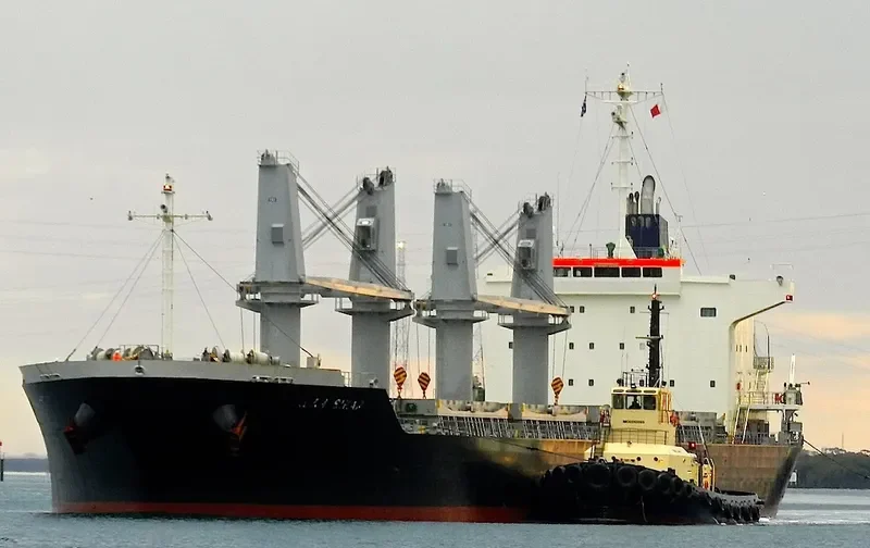 ALAM SINAR Bulk Carrier IMO 9674816 photo 4