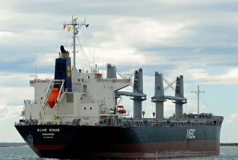 ALAM SINAR Bulk Carrier IMO 9674816 photo 6
