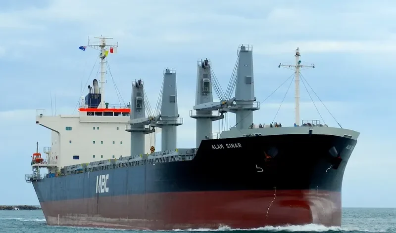 ALAM SINAR Bulk Carrier IMO 9674816 photo 7
