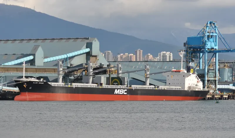 ALAM SINAR Bulk Carrier IMO 9674816 photo 10