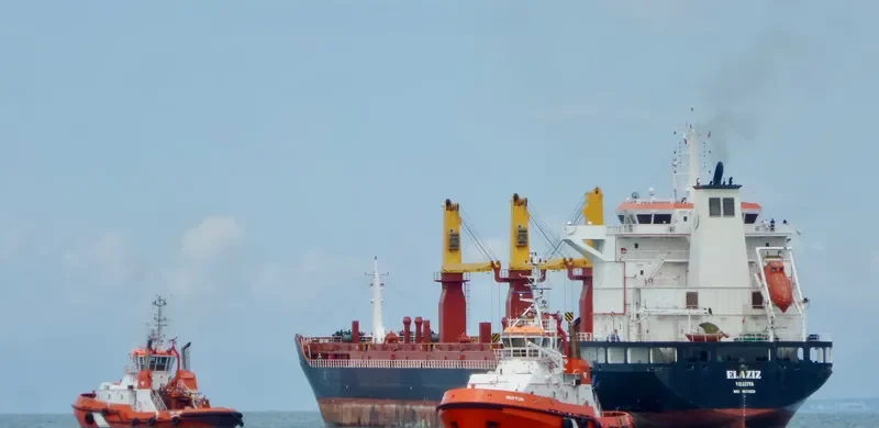ELAZIZ General Cargo IMO 9674933