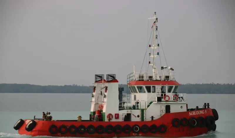 SERUDONG 9 General Cargo IMO 9674995 photo 2