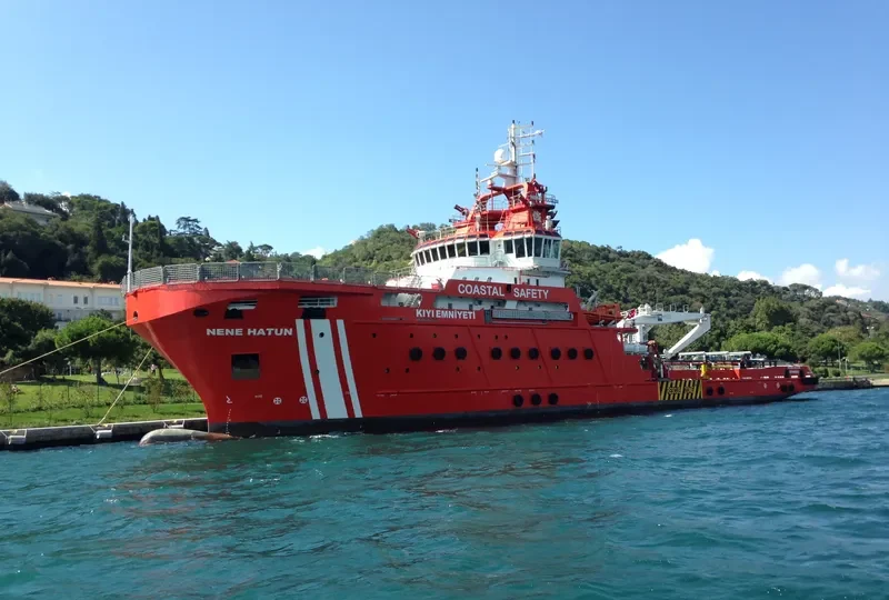 NENE HATUN General Cargo IMO 9675004 photo 7