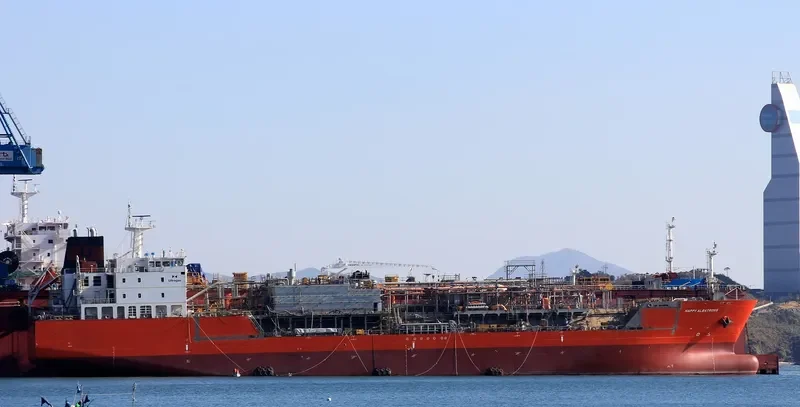 HAPPY ALBATROSS General Cargo IMO 9675066 photo 2