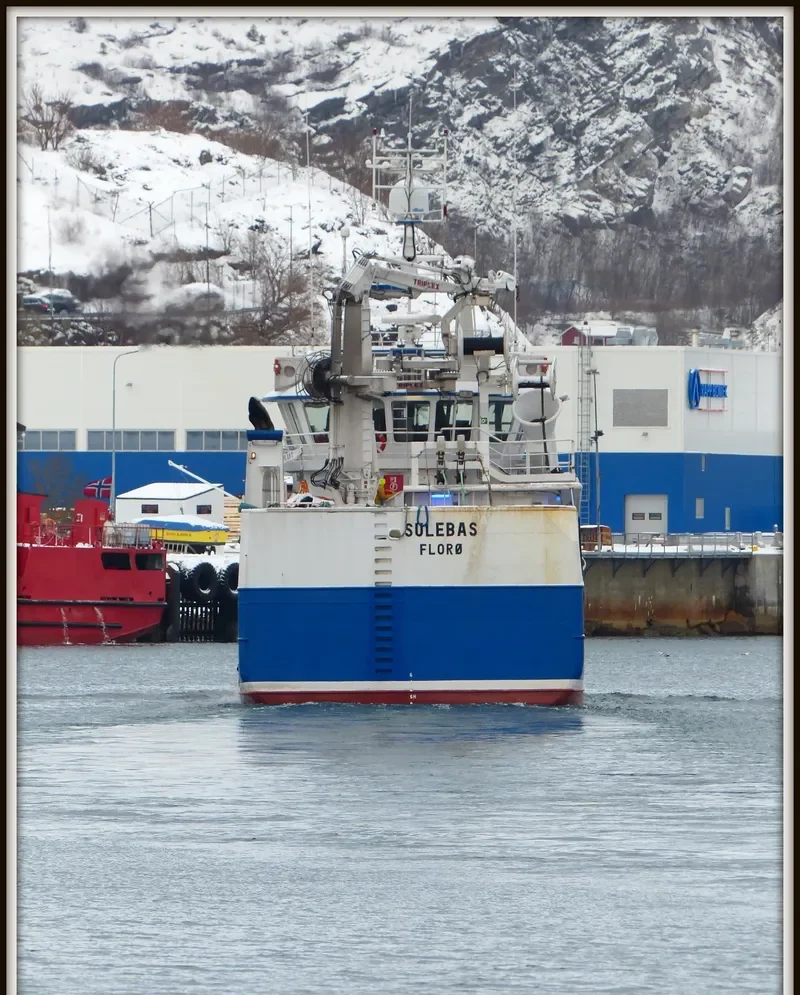 SULEBAS General Cargo IMO 9675092 photo 6