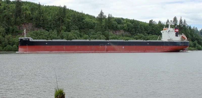 VOLOS Bulk Carrier IMO 9675262 photo 8