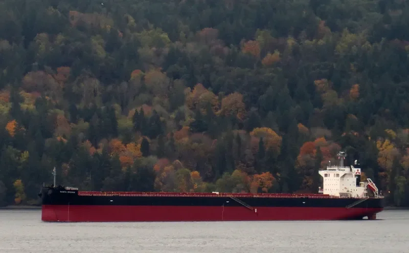 SANTA REGINA Bulk Carrier IMO 9675274 photo 3