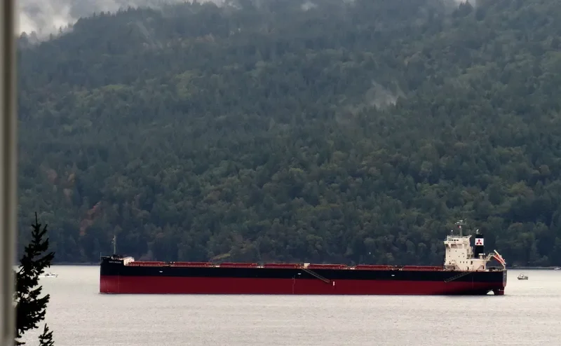 SANTA REGINA Bulk Carrier IMO 9675274 photo 4