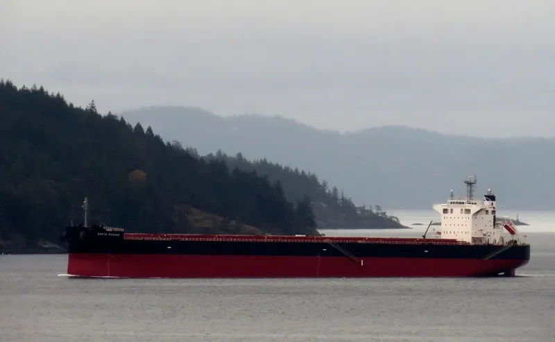 SANTA REGINA Bulk Carrier IMO 9675274 photo 5