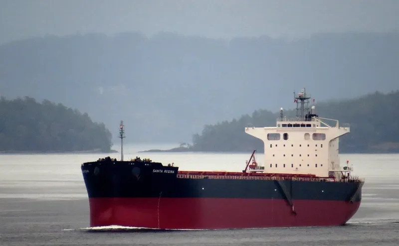 SANTA REGINA Bulk Carrier IMO 9675274 photo 6