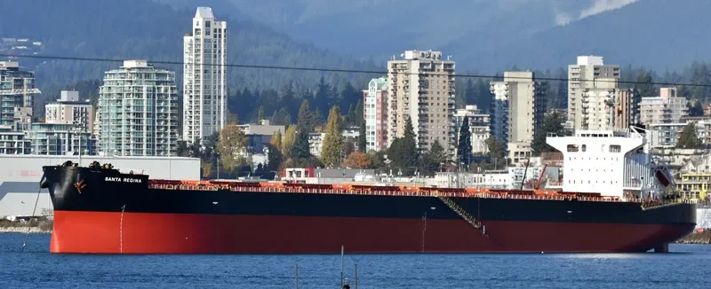 SANTA REGINA Bulk Carrier IMO 9675274 photo 8