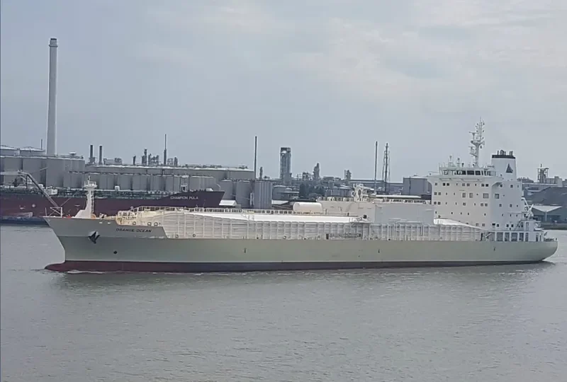 ORANGE OCEAN Tanker IMO 9675391 photo 8
