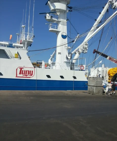GIJON General Cargo IMO 9675511