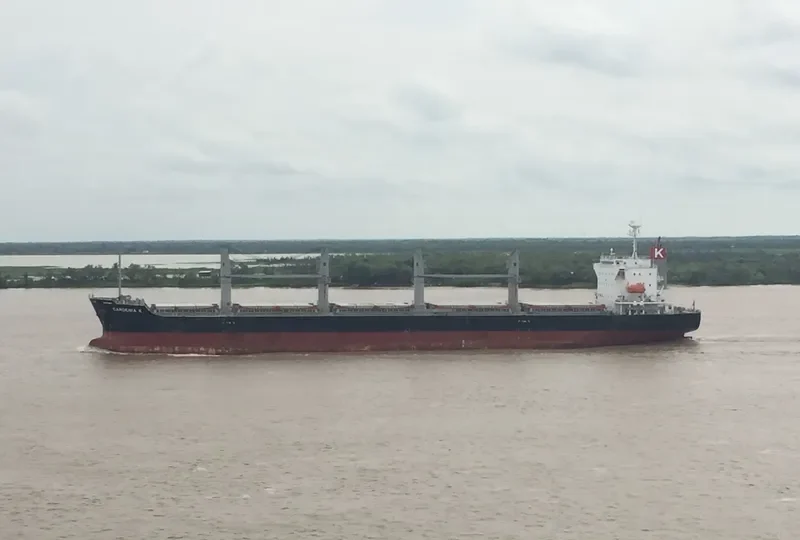 GARDENIA K Bulk Carrier IMO 9675559