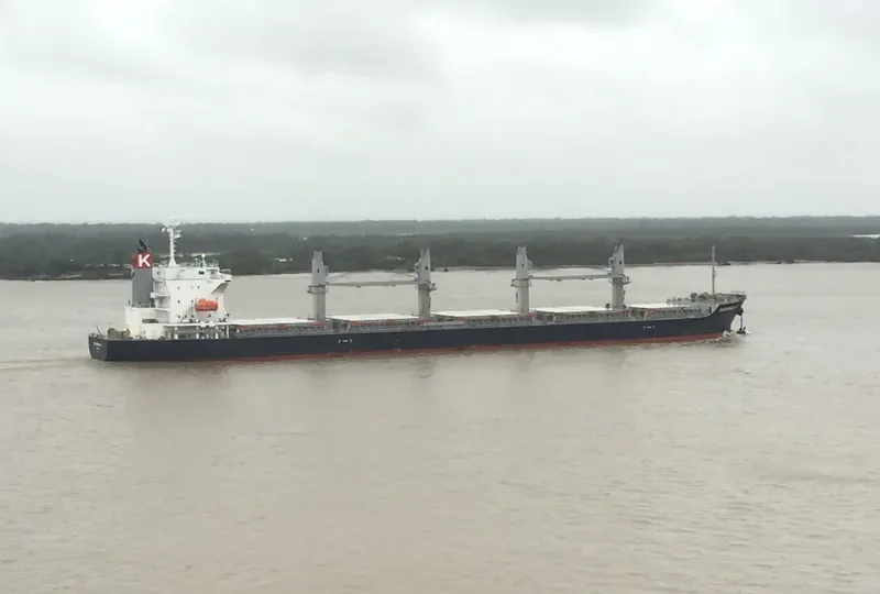 GARDENIA K Bulk Carrier IMO 9675559 photo 2