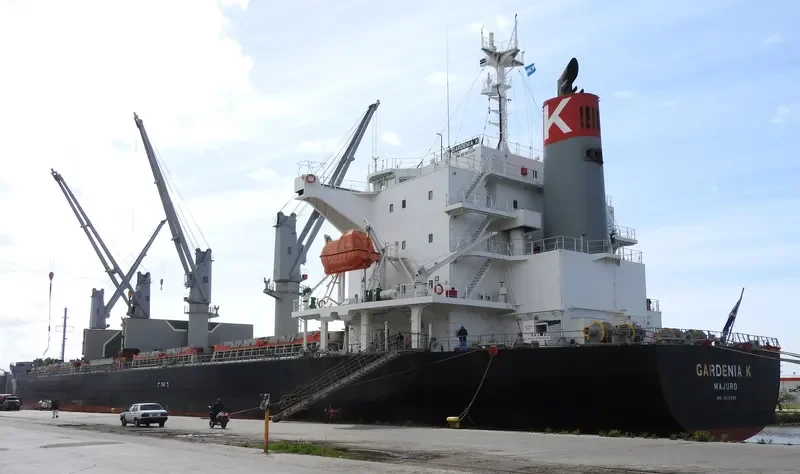 GARDENIA K Bulk Carrier IMO 9675559 photo 3