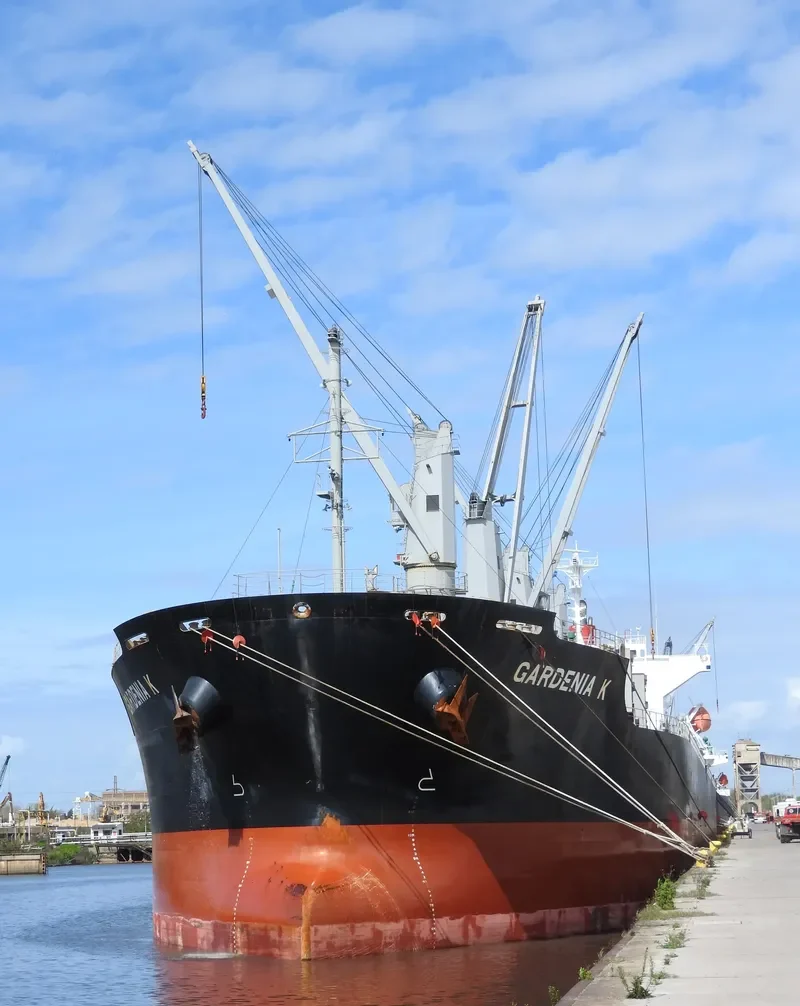 GARDENIA K Bulk Carrier IMO 9675559 photo 4