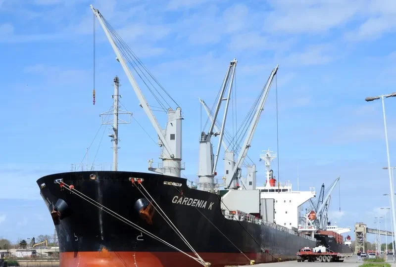 GARDENIA K Bulk Carrier IMO 9675559 photo 5