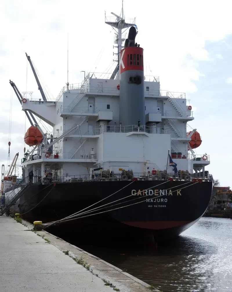 GARDENIA K Bulk Carrier IMO 9675559 photo 6