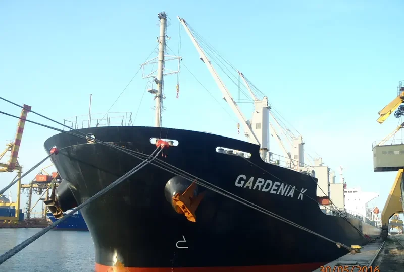 GARDENIA K Bulk Carrier IMO 9675559 photo 7