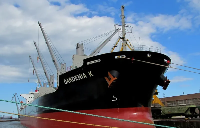 GARDENIA K Bulk Carrier IMO 9675559 photo 8