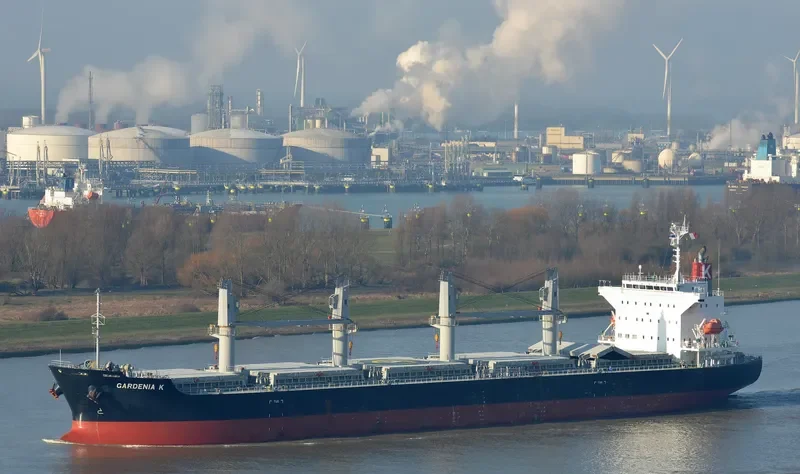 GARDENIA K Bulk Carrier IMO 9675559 photo 9