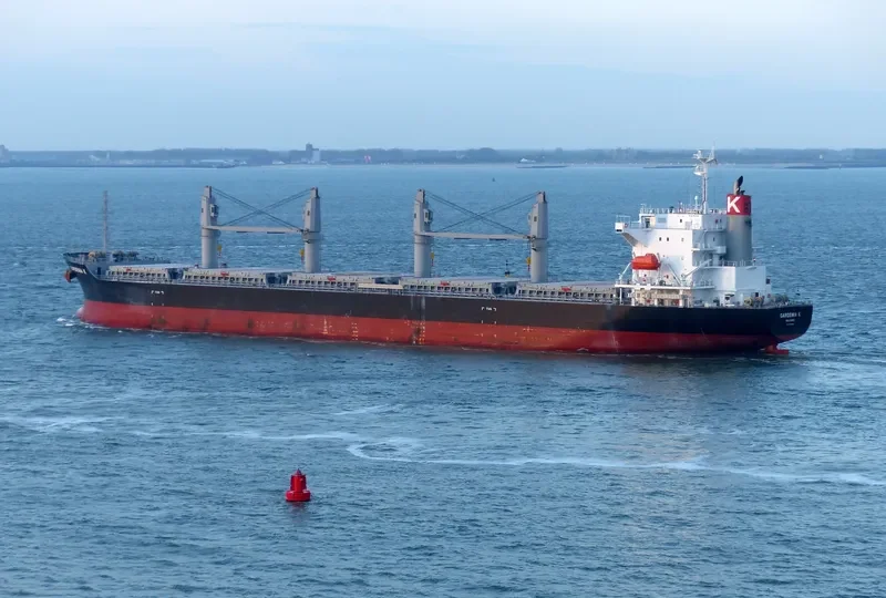 GARDENIA K Bulk Carrier IMO 9675559 photo 10