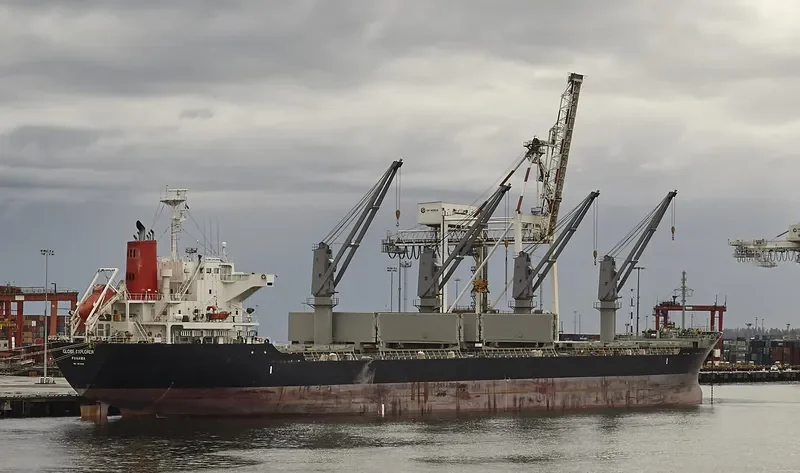 GLOBE EXPLORER Bulk Carrier IMO 9675561