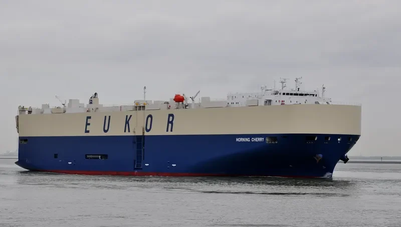 MORNING CHERRY General Cargo IMO 9675585 photo 3