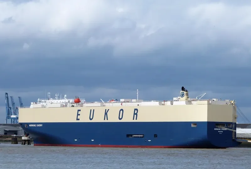 MORNING CHERRY General Cargo IMO 9675585 photo 5