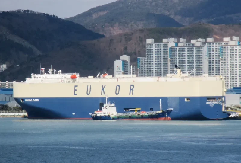 MORNING CHERRY General Cargo IMO 9675585 photo 7