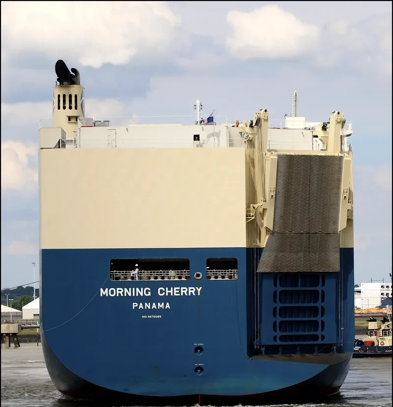 MORNING CHERRY General Cargo IMO 9675585 photo 8
