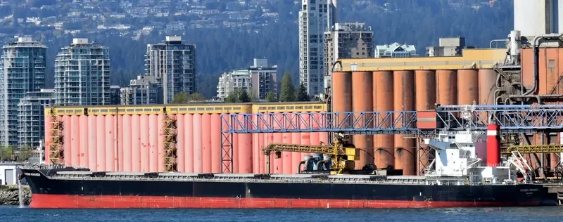 SAINT MYRON Bulk Carrier IMO 9675597 photo 2