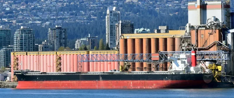 SAINT MYRON Bulk Carrier IMO 9675597 photo 3