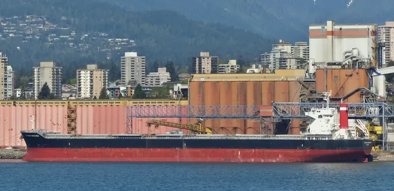 SAINT MYRON Bulk Carrier IMO 9675597 photo 4