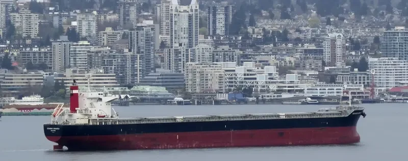 SAINT MYRON Bulk Carrier IMO 9675597 photo 6