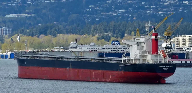 SAINT MYRON Bulk Carrier IMO 9675597 photo 7