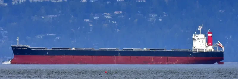 SAINT MYRON Bulk Carrier IMO 9675597 photo 8