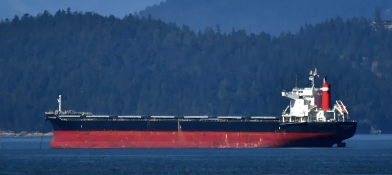 SAINT MYRON Bulk Carrier IMO 9675597 photo 10