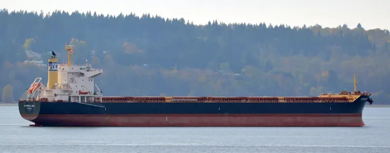 KYPROS SEA Bulk Carrier IMO 9675602 photo 2