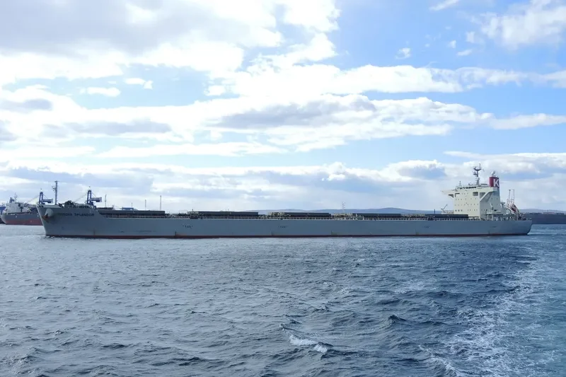 CORONA SPLENDOR Bulk Carrier IMO 9675614