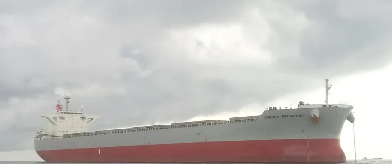 CORONA SPLENDOR Bulk Carrier IMO 9675614 photo 3