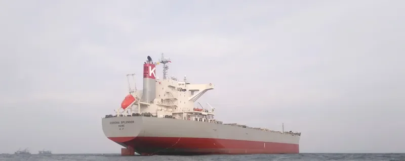 CORONA SPLENDOR Bulk Carrier IMO 9675614 photo 9