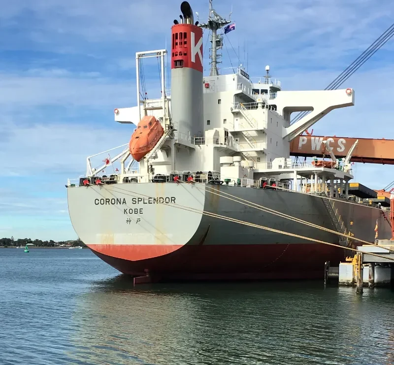 CORONA SPLENDOR Bulk Carrier IMO 9675614 photo 10
